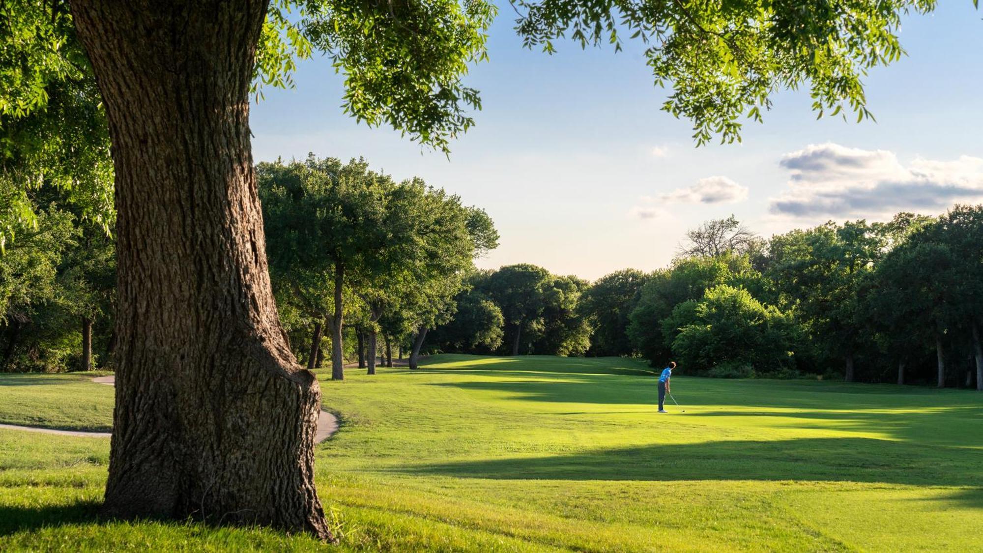 Dallas/Fort Worth Marriott Hotel & Golf Club At Champions Circle Roanoke Exterior photo
